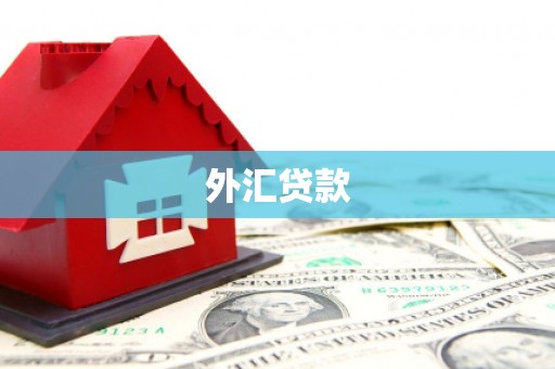 纳雍外汇贷款