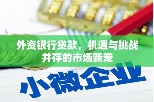 滴道外资银行贷款，机遇与挑战并存的市场新宠
