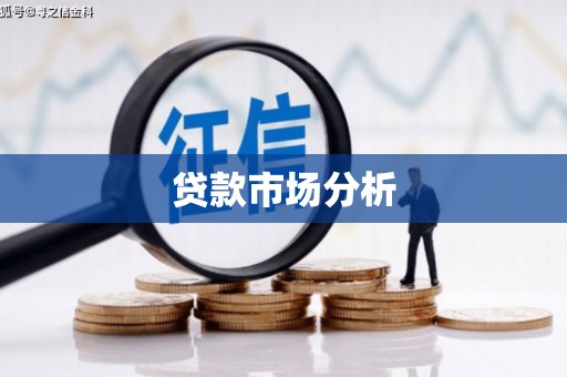 龙游贷款市场分析