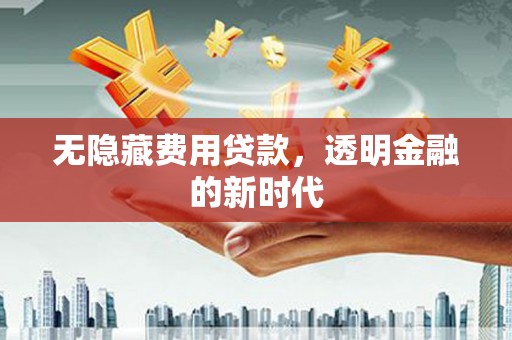 西平无隐藏费用贷款，透明金融的新时代