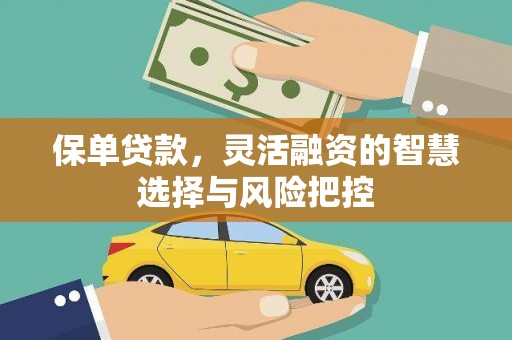 屏南保单贷款，灵活融资的智慧选择与风险把控