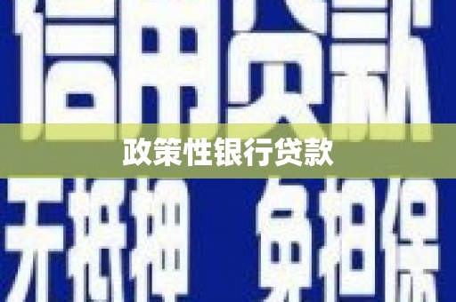 金城政策性银行贷款