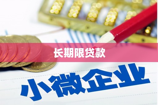 滨海长期限贷款
