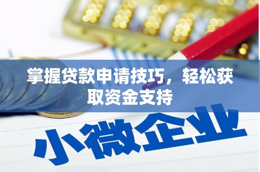 夏县掌握贷款申请技巧，轻松获取资金支持
