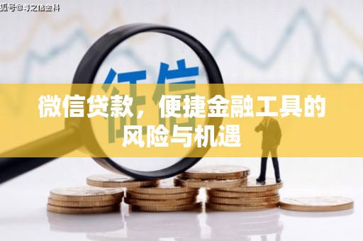 甘井子微信贷款，便捷金融工具的风险与机遇