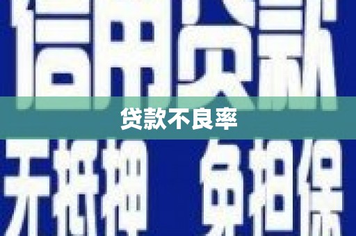 积石山贷款不良率