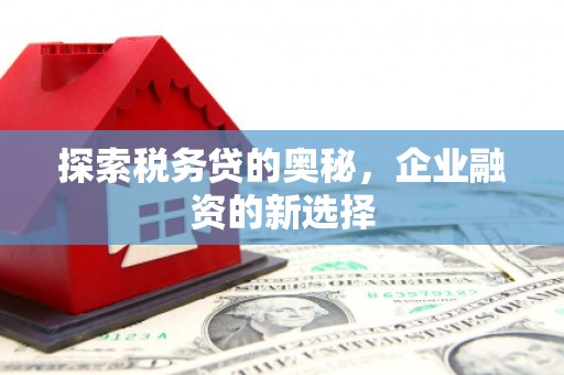 伊春探索税务贷的奥秘，企业融资的新选择