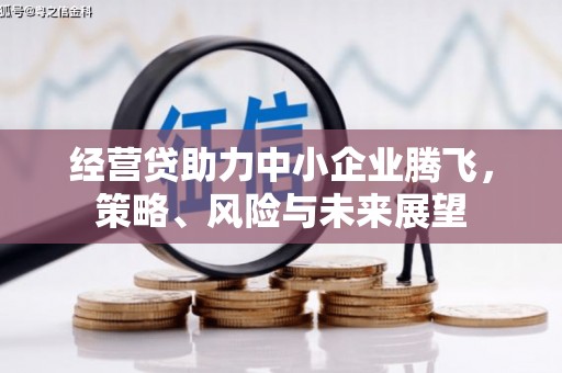 福海经营贷助力中小企业腾飞，策略、风险与未来展望