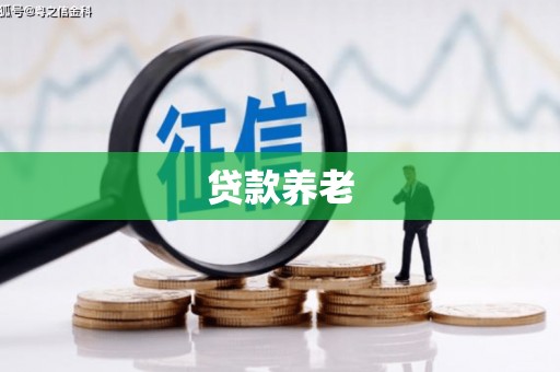 狮潭贷款养老