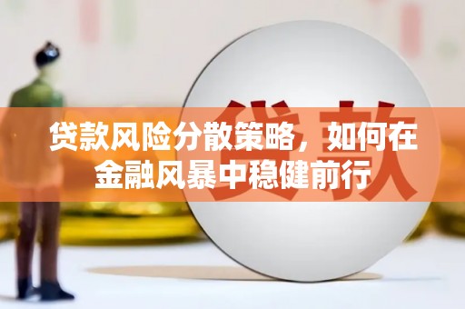 久治贷款风险分散策略，如何在金融风暴中稳健前行