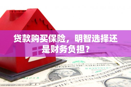 沛县贷款购买保险，明智选择还是财务负担？