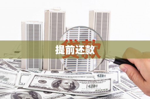 康马提前还款