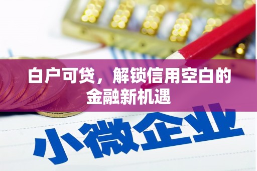 灵台白户可贷，解锁信用空白的金融新机遇