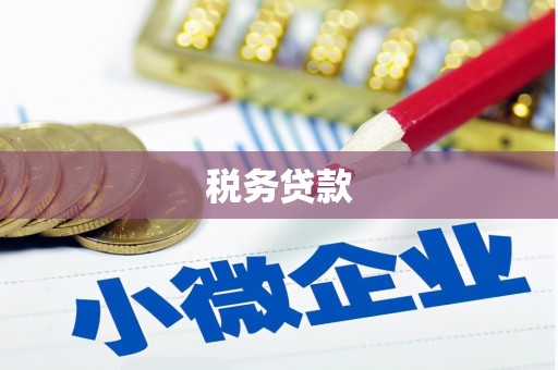 桐城税务贷款