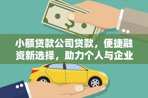 芬园小额贷款公司贷款，便捷融资新选择，助力个人与企业成长