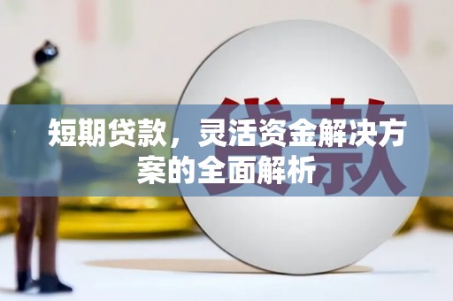 华龙短期贷款，灵活资金解决方案的全面解析