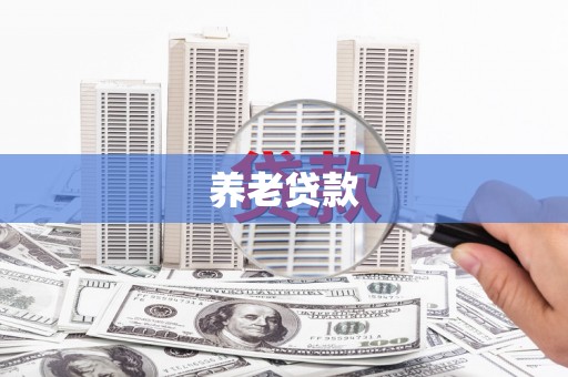 大林养老贷款