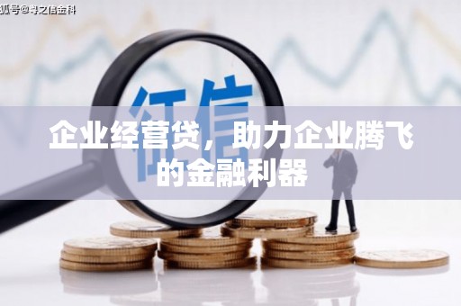 宜州企业经营贷，助力企业腾飞的金融利器