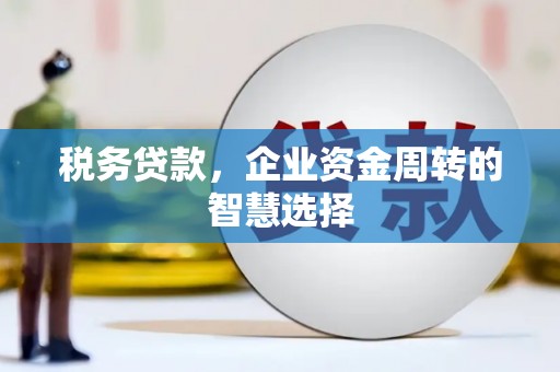阆中税务贷款，企业资金周转的智慧选择