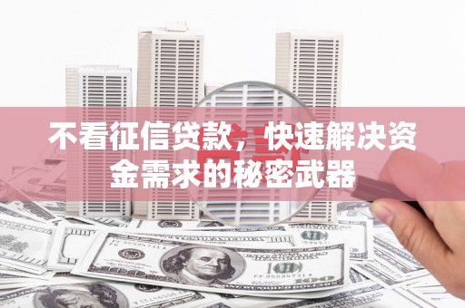 壮围不看征信贷款，快速解决资金需求的秘密武器