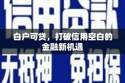 宁洱白户可贷，打破信用空白的金融新机遇