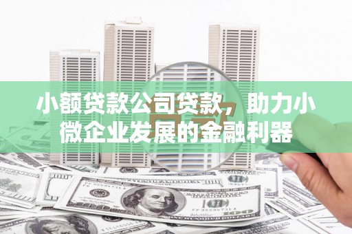 三江小额贷款公司贷款，助力小微企业发展的金融利器