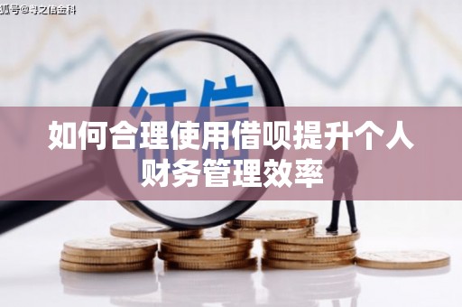 孟村如何合理使用借呗提升个人财务管理效率