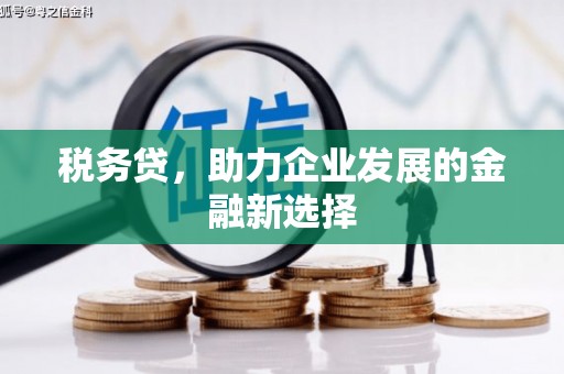 蒲城税务贷，助力企业发展的金融新选择