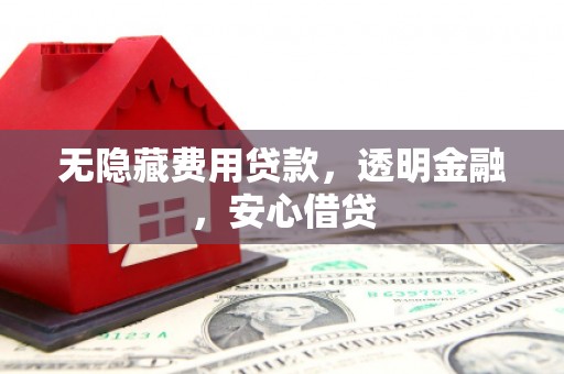 姚安无隐藏费用贷款，透明金融，安心借贷