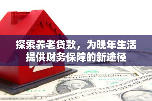 青浦探索养老贷款，为晚年生活提供财务保障的新途径