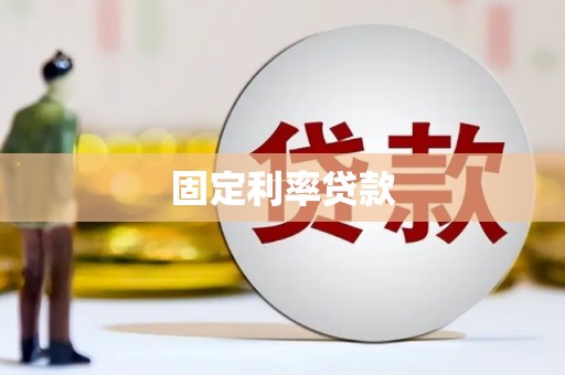 石龙固定利率贷款