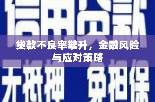 沙鹿贷款不良率攀升，金融风险与应对策略
