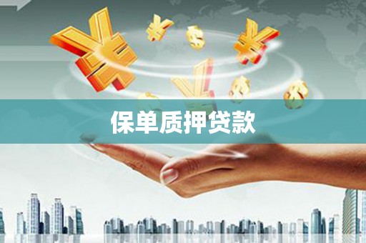 界首保单质押贷款