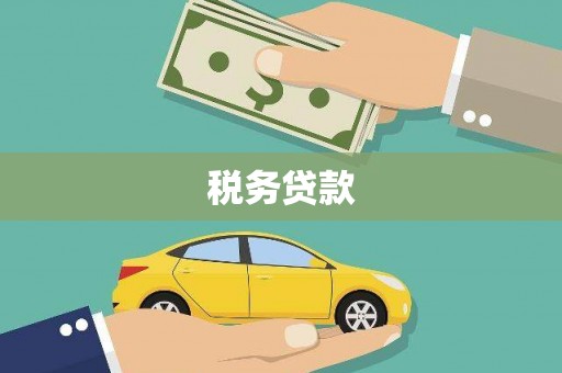 花地玛堂区税务贷款