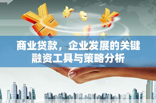 利辛商业贷款，企业发展的关键融资工具与策略分析