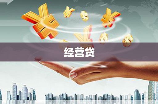 沈丘经营贷