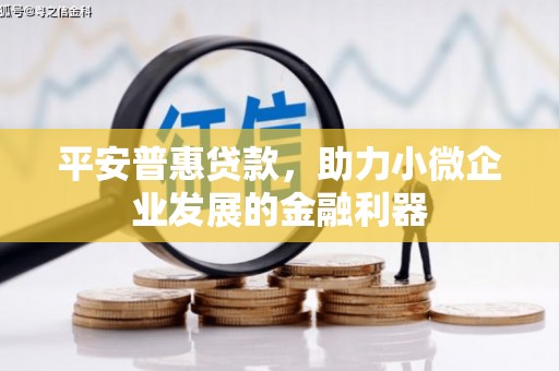 燕巢平安普惠贷款，助力小微企业发展的金融利器