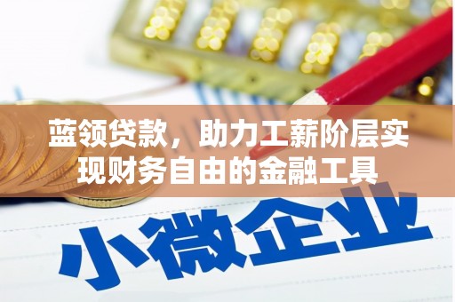 大观蓝领贷款，助力工薪阶层实现财务自由的金融工具