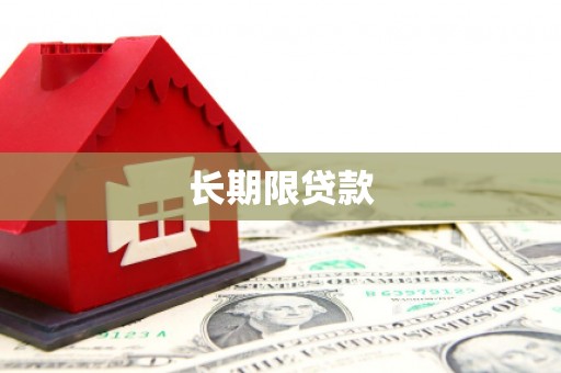 大朗长期限贷款