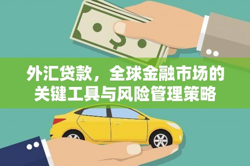韶关外汇贷款，全球金融市场的关键工具与风险管理策略