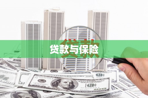 新北贷款与保险