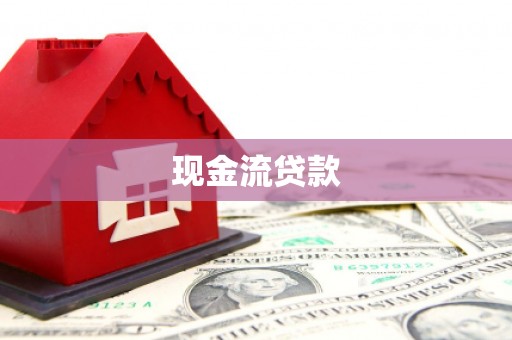瑞穗现金流贷款