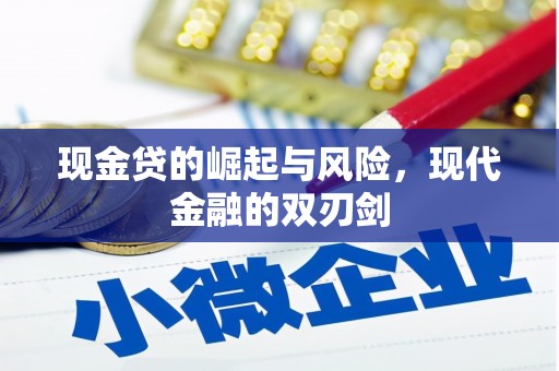 泸西现金贷的崛起与风险，现代金融的双刃剑