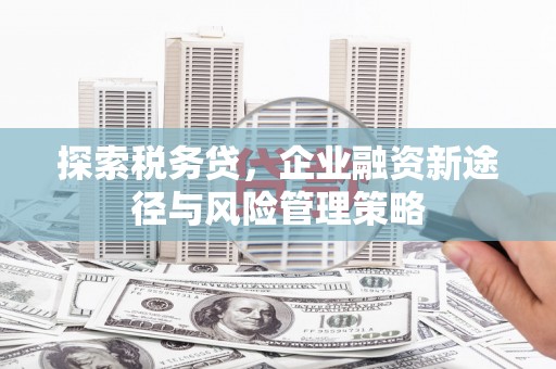 西山探索税务贷，企业融资新途径与风险管理策略