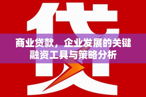 蔡甸商业贷款，企业发展的关键融资工具与策略分析