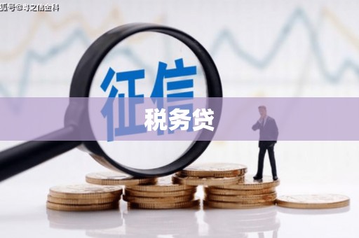 屏边税务贷