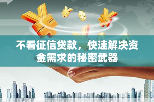 甘南不看征信贷款，快速解决资金需求的秘密武器