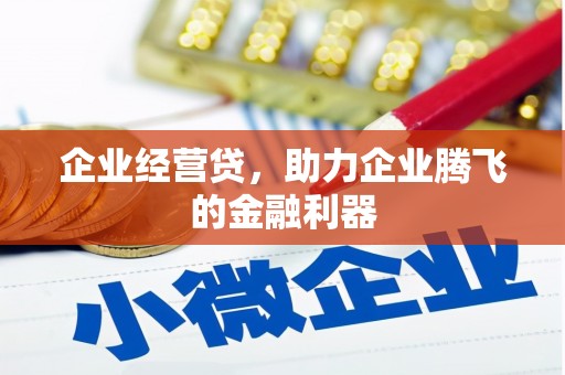 临沧企业经营贷，助力企业腾飞的金融利器