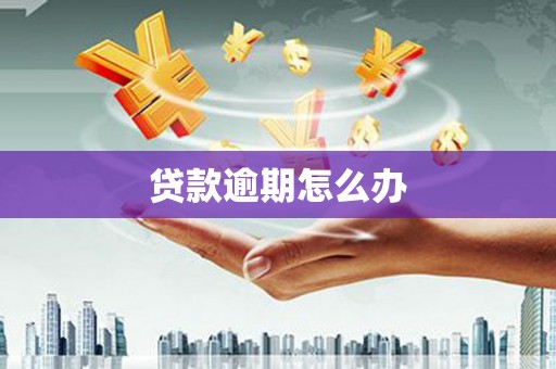 三明贷款逾期怎么办