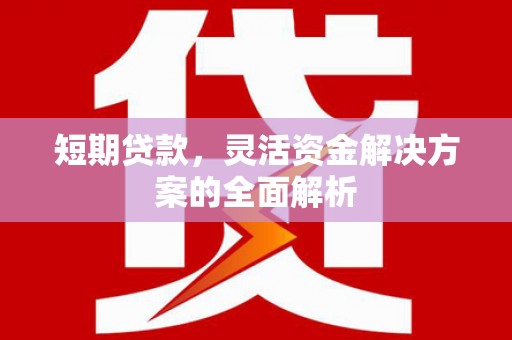 永平短期贷款，灵活资金解决方案的全面解析